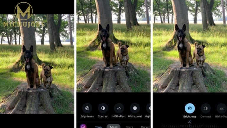 WAALEE PIXELLB App