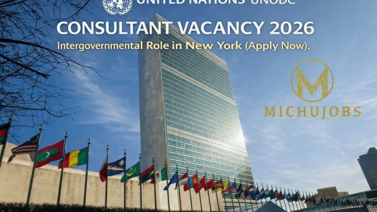 United Nations NGO Project Job Vacancy